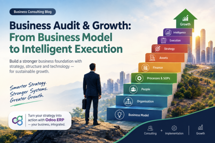 Business audit and growth framework showing the journey from business model, organisation, people, processes and finance to strategy, execution, intelligence and sustainable business growth.